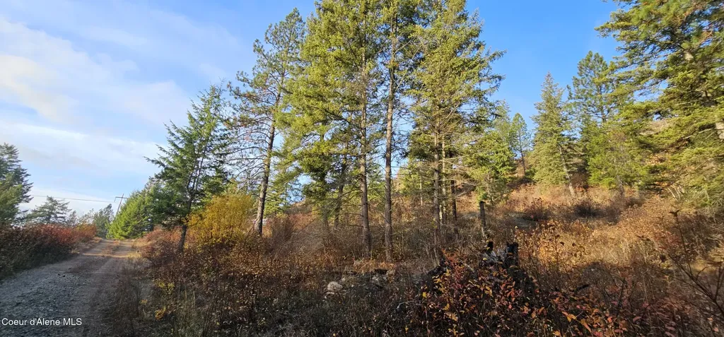 125 Tracker Way Priest River ID 83856