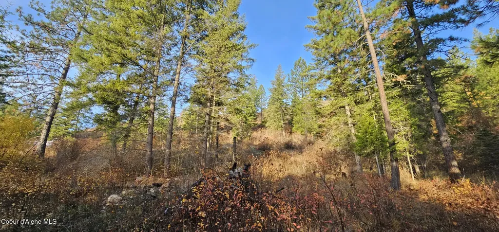 125 Tracker Way Priest River ID 83856