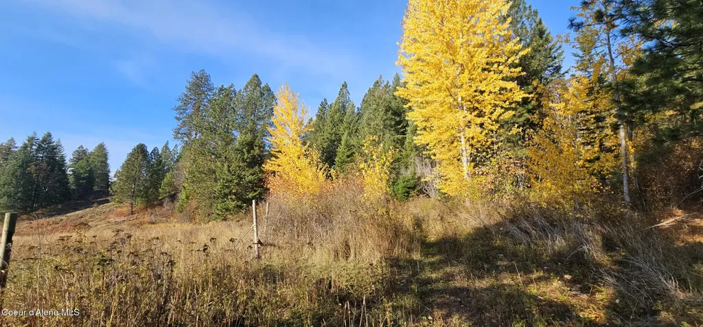125 Tracker Way Priest River ID 83856