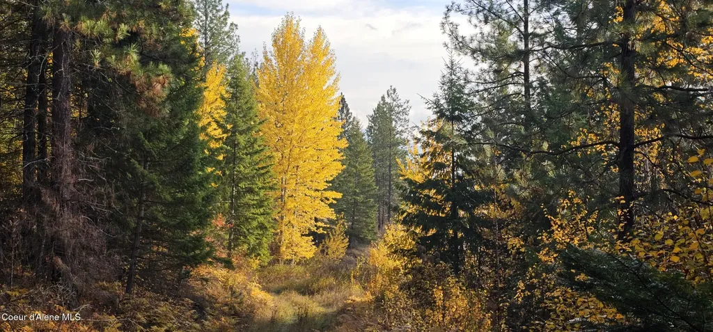 125 Tracker Way Priest River ID 83856