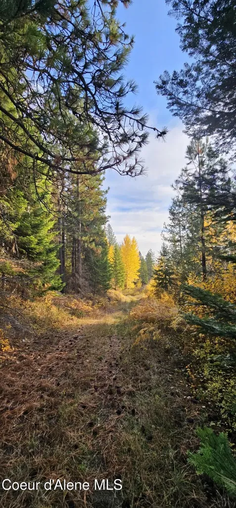 125 Tracker Way Priest River ID 83856