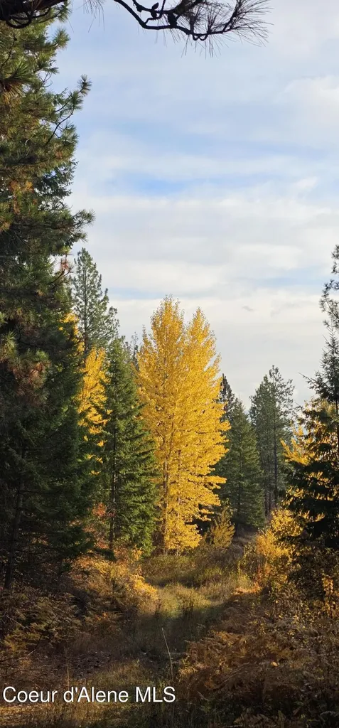 125 Tracker Way Priest River ID 83856
