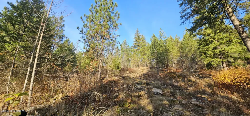 125 Tracker Way Priest River ID 83856