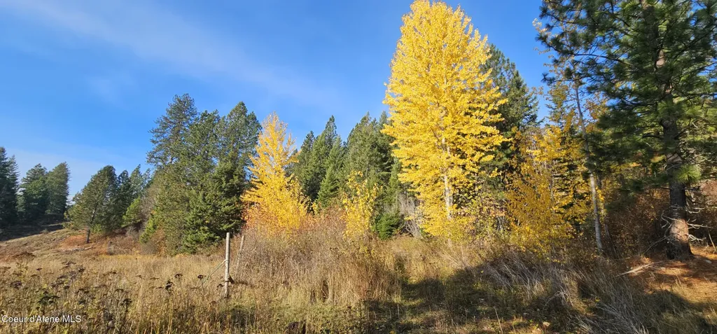 125 Tracker Way Priest River ID 83856