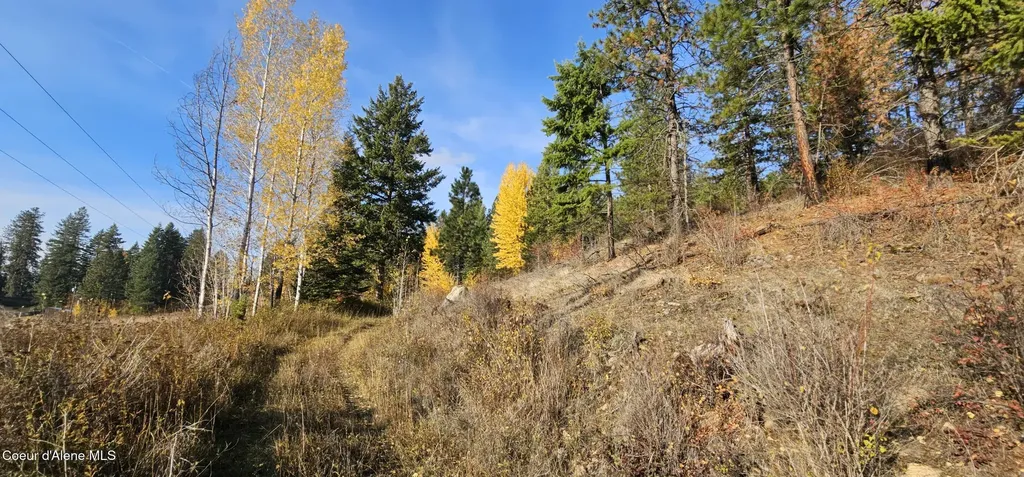 125 Tracker Way Priest River ID 83856