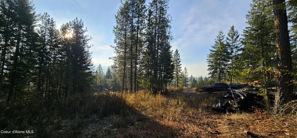 125 Tracker Way Priest River ID 83856