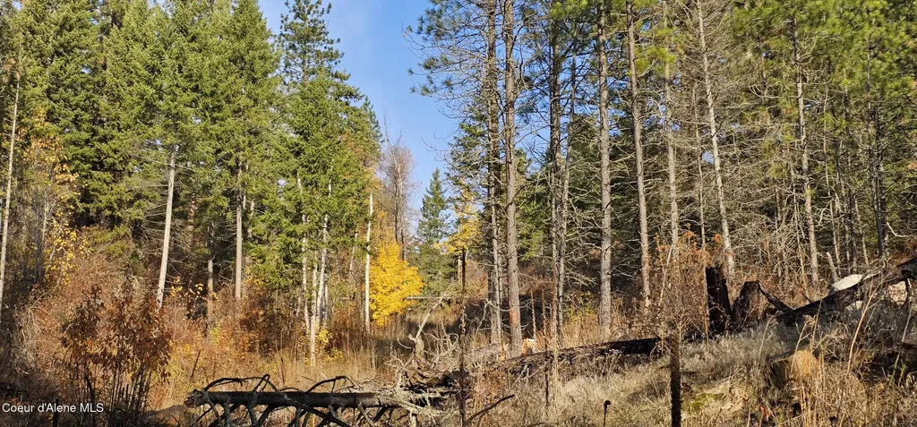 125 Tracker Way Priest River ID 83856