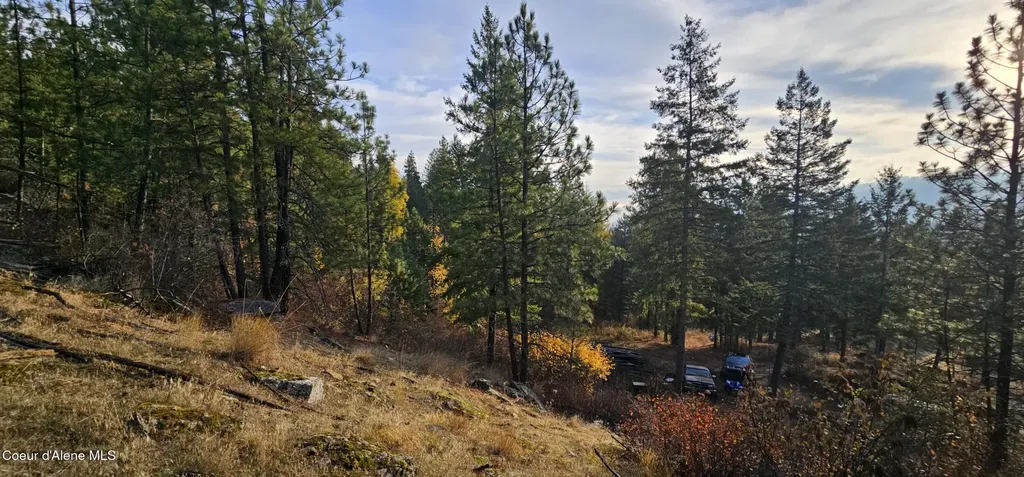 125 Tracker Way Priest River ID 83856