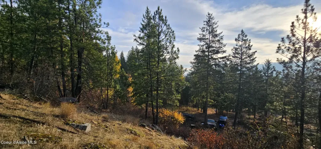 125 Tracker Way Priest River ID 83856