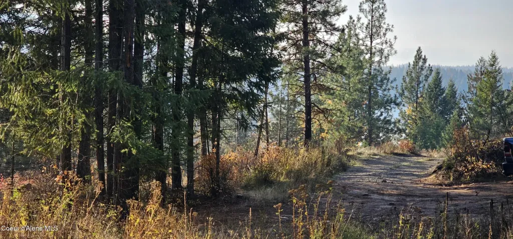 125 Tracker Way Priest River ID 83856