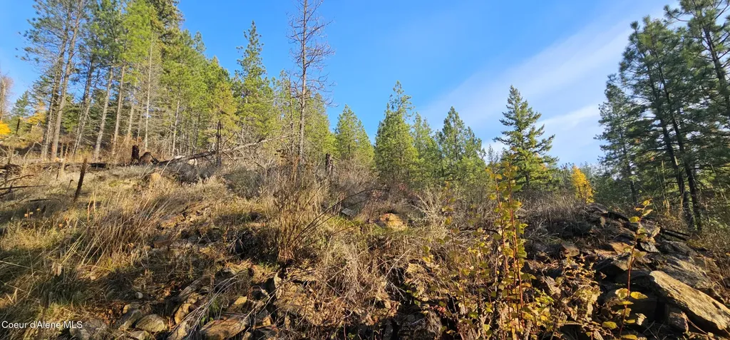 125 Tracker Way Priest River ID 83856