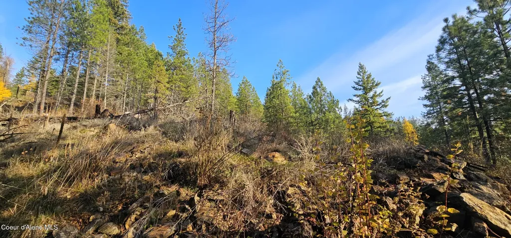 125 Tracker Way Priest River ID 83856