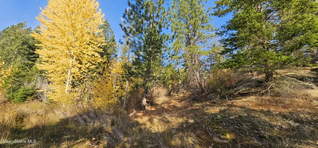 125 Tracker Way Priest River ID 83856