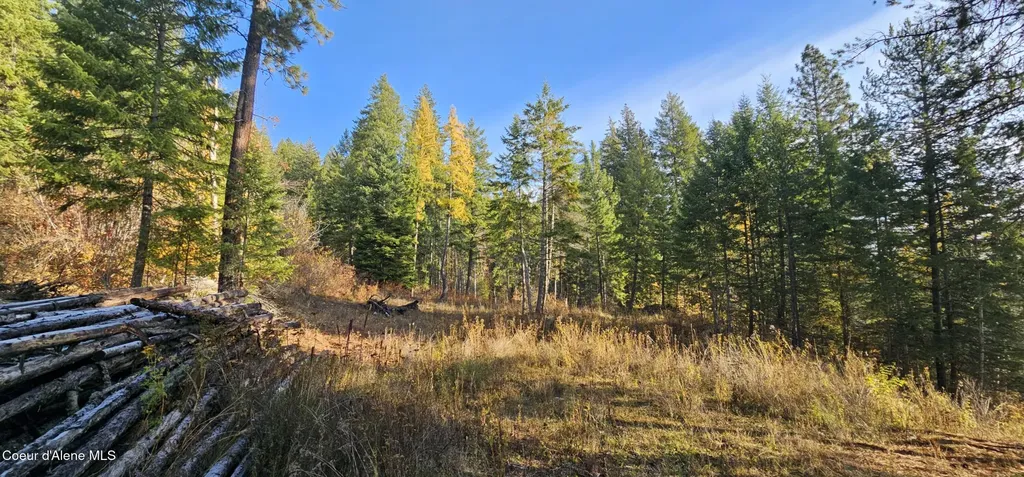 125 Tracker Way Priest River ID 83856