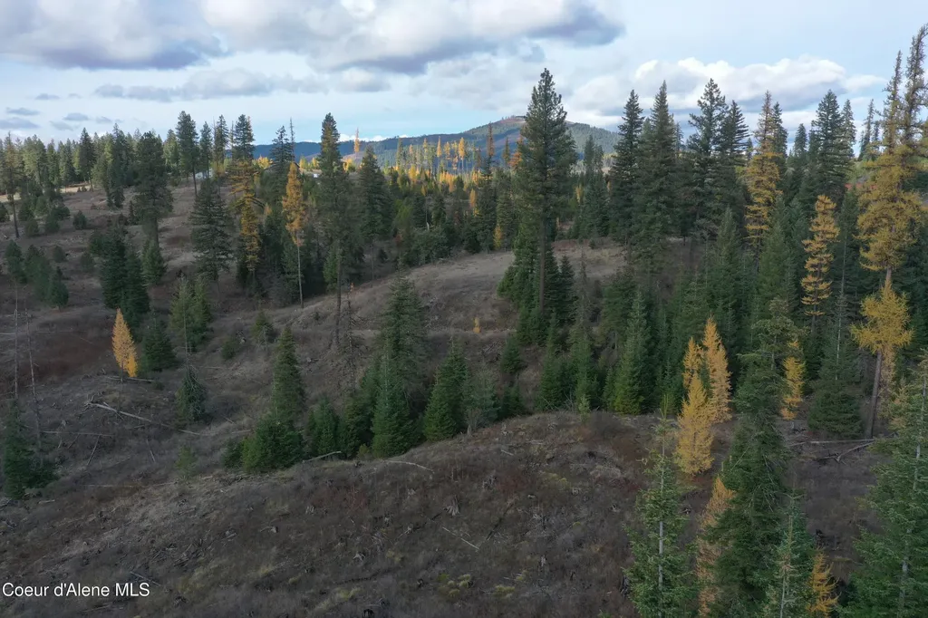 Nka Bugle Point Road St. Maries ID 83861