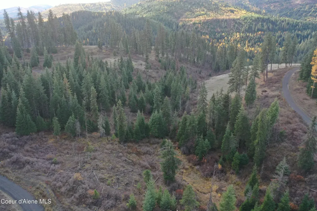 Nka Bugle Point Road St. Maries ID 83861