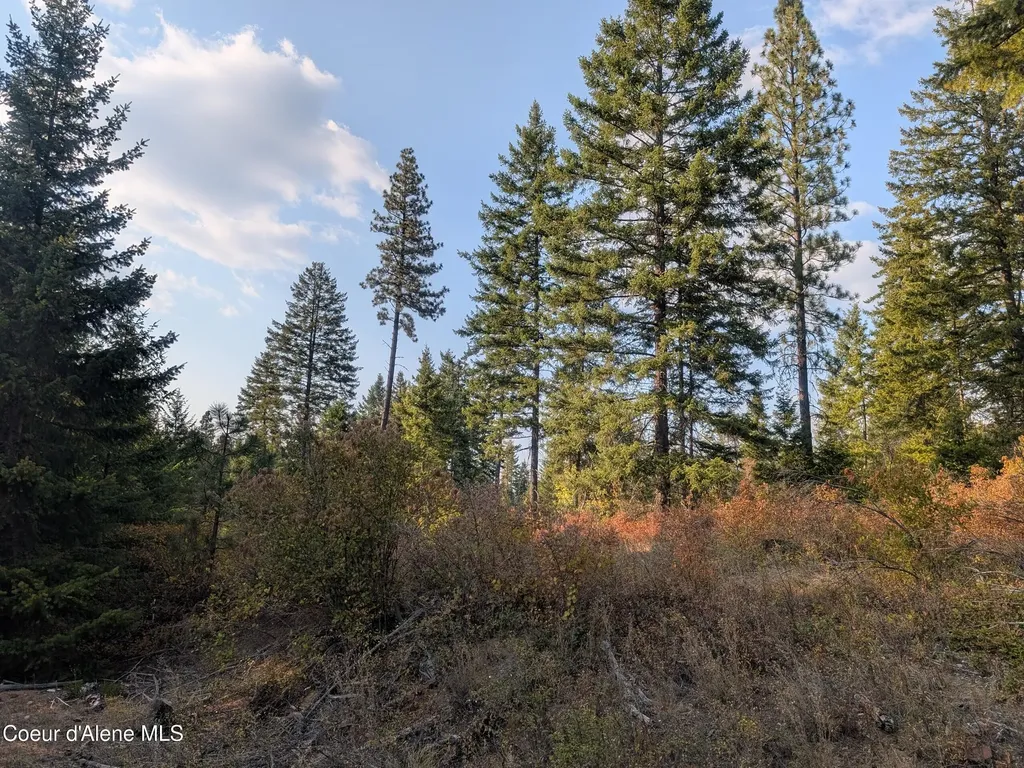 Lt 2 Blk 3 And Lots 1, 2, 4 & 5 Wendland Way Spirit Lake ID 83869