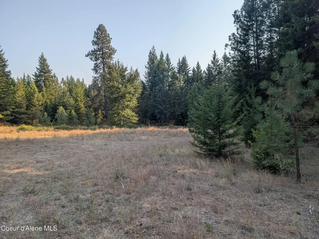 Lt 2 Blk 3 And Lots 1, 2, 4 & 5 Wendland Way Spirit Lake ID 83869