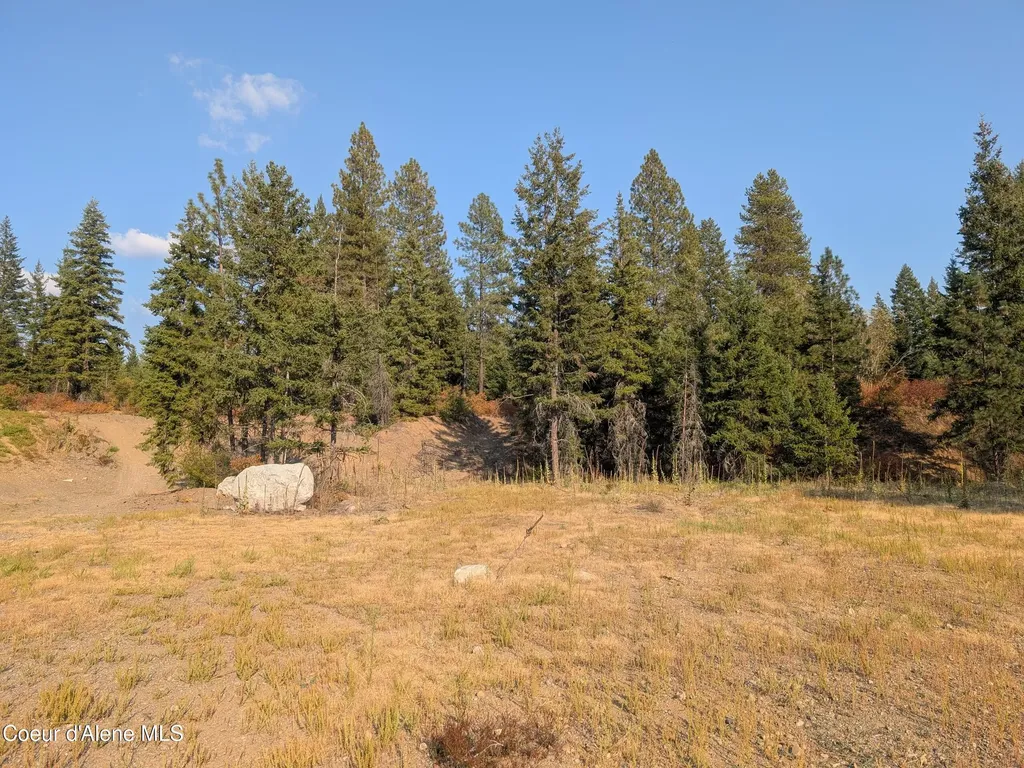 Lt 2 Blk 3 And Lots 1, 2, 4 & 5 Wendland Way Spirit Lake ID 83869