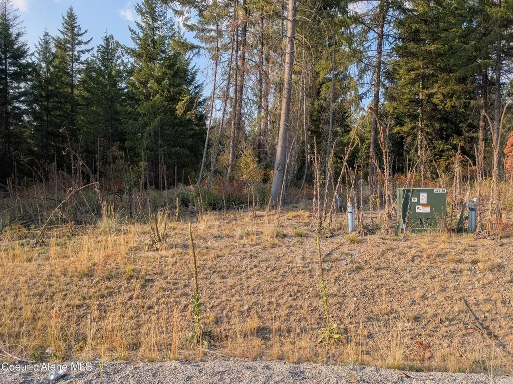 Lt 2 Blk 3 And Lots 1, 2, 4 & 5 Wendland Way Spirit Lake ID 83869