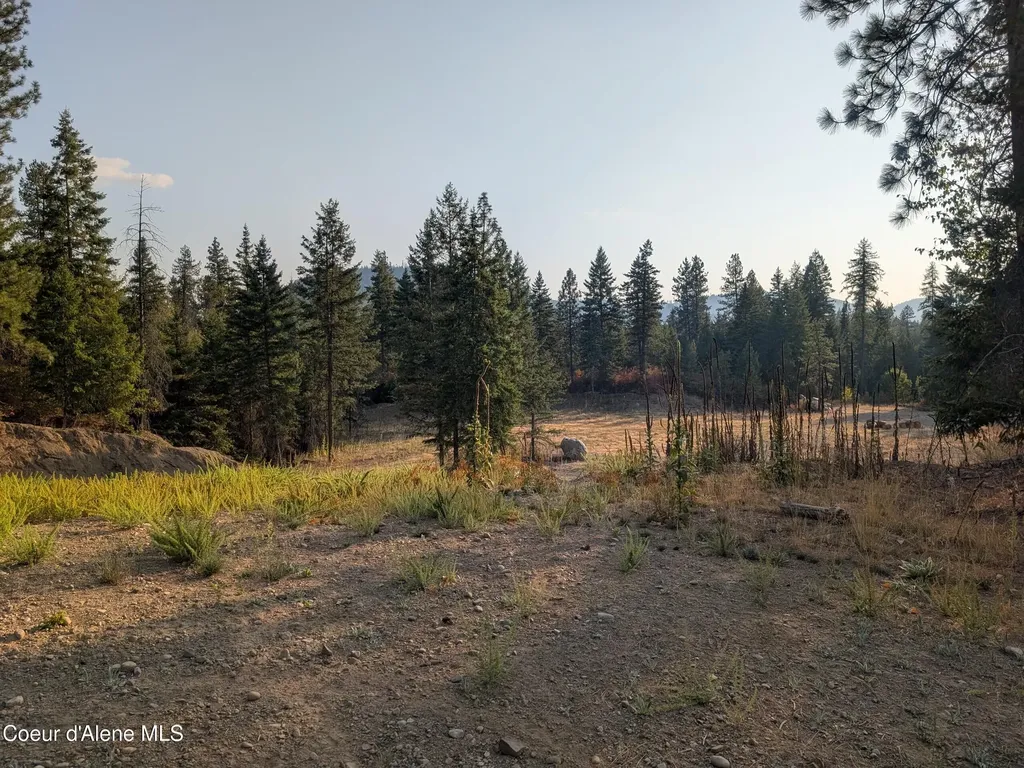 Lt 2 Blk 3 And Lots 1, 2, 4 & 5 Wendland Way Spirit Lake ID 83869