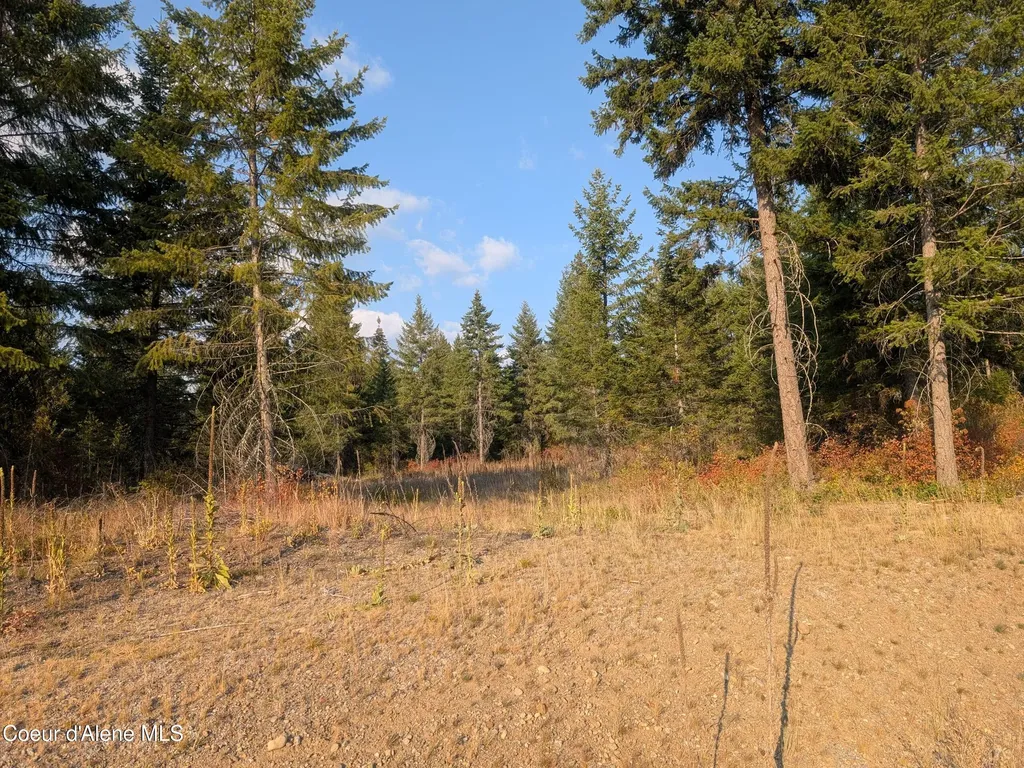 Lt 2 Blk 3 And Lots 1, 2, 4 & 5 Wendland Way Spirit Lake ID 83869
