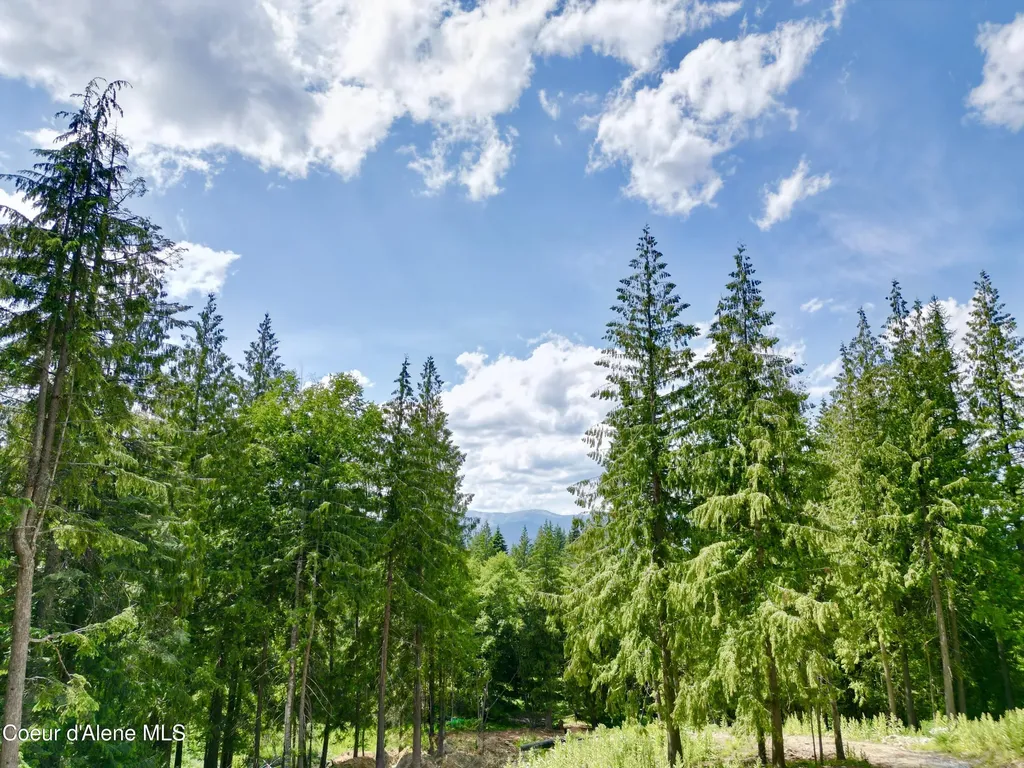 7 Timber Grove Sandpoint ID 83864