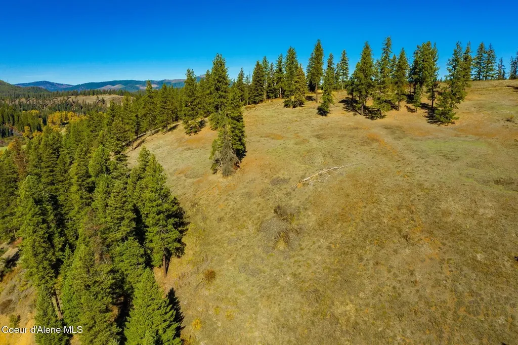 321 Clearwater Drive St. Maries ID 83861