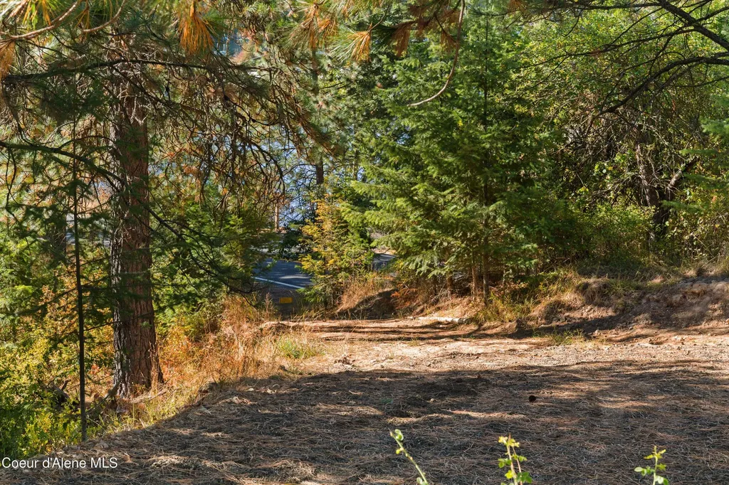 1515 E Red Barn Road Harrison ID 83833