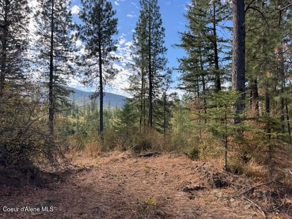 Nka Parcel 2 Dole Camp Road Tensed ID 83870