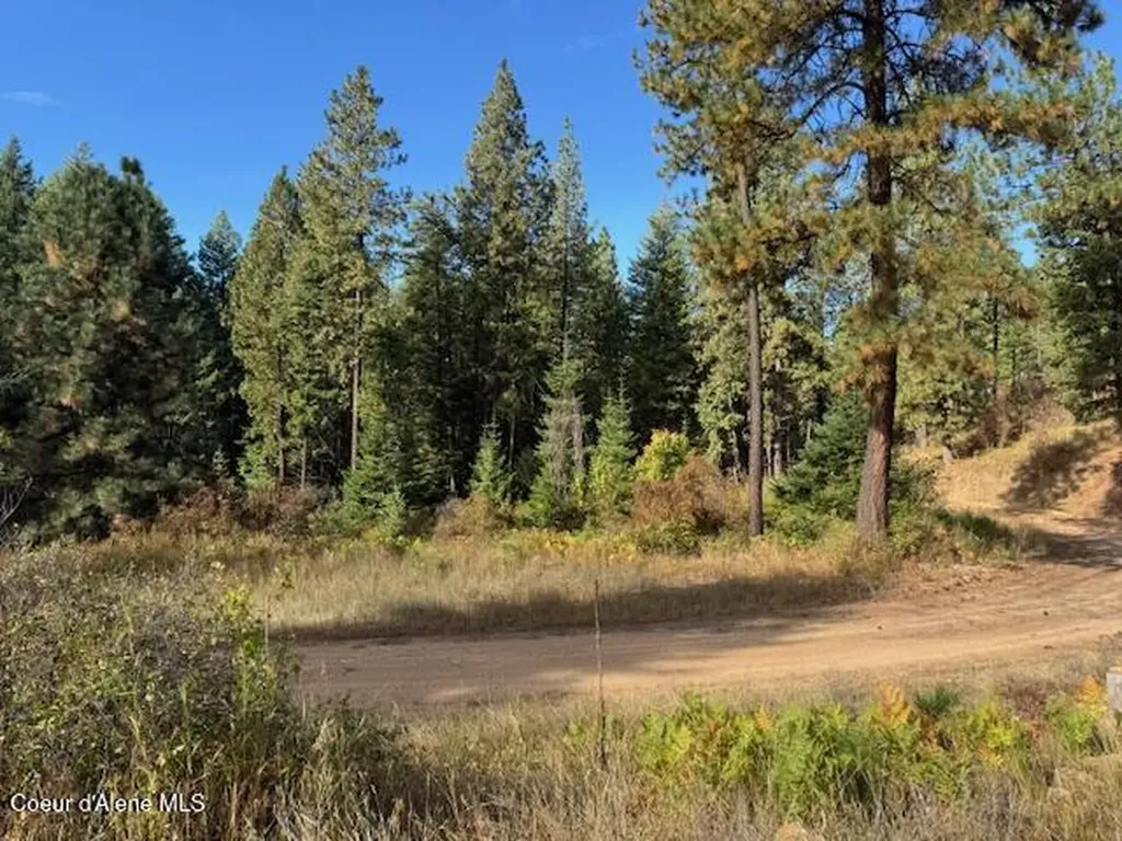 Nka Parcel 2 Dole Camp Road Tensed ID 83870