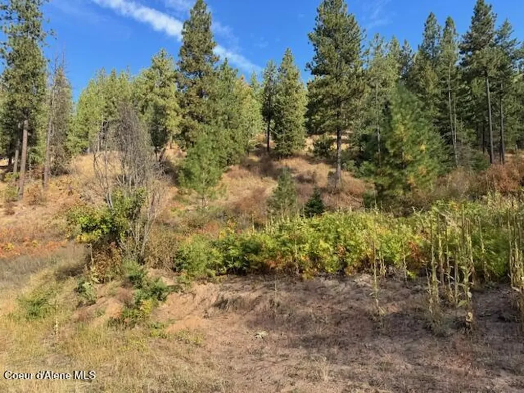 Nka Parcel 2 Dole Camp Road Tensed ID 83870