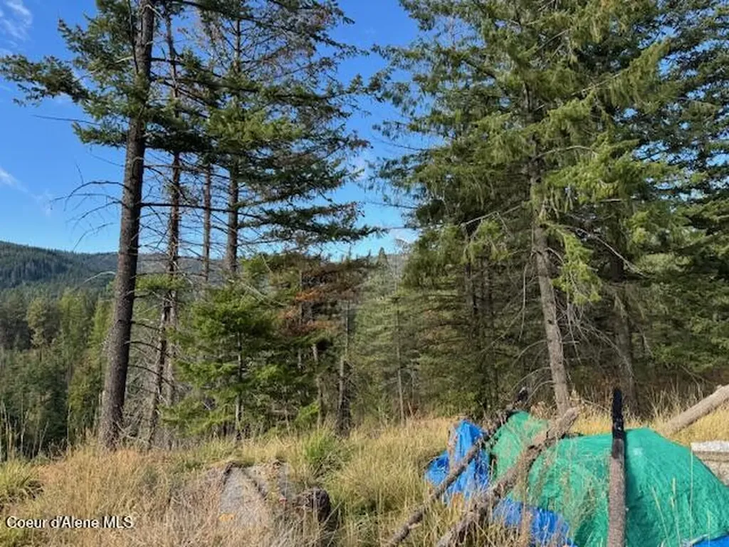 Nka Parcel 1 Dole Camp Road Tensed ID 83870