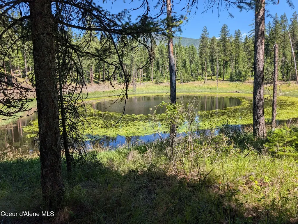 53396 Highway 95 Bonners Ferry ID 83805