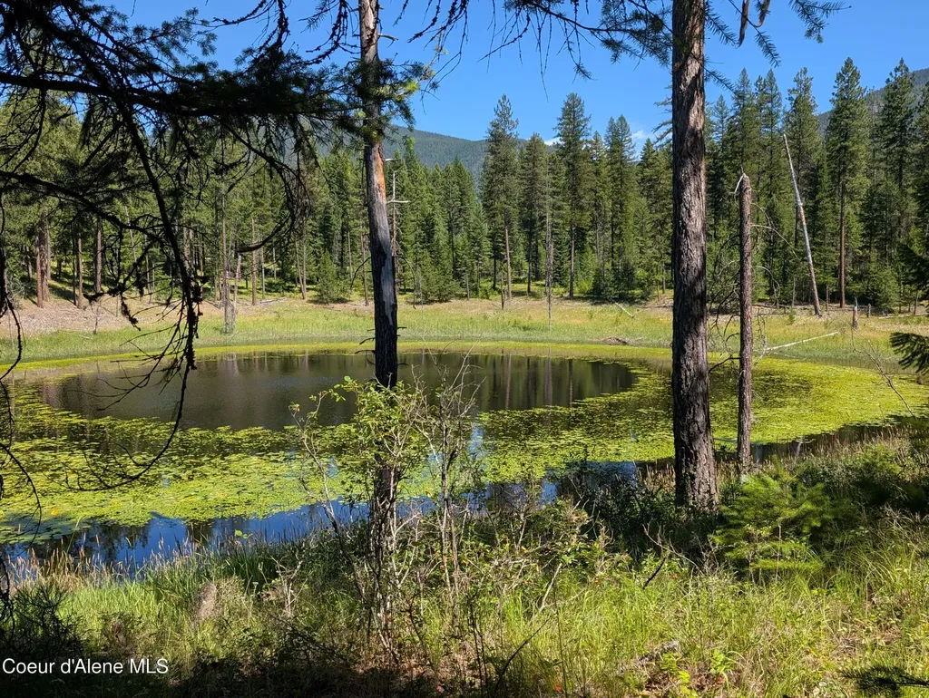 53396 Highway 95 Bonners Ferry ID 83805