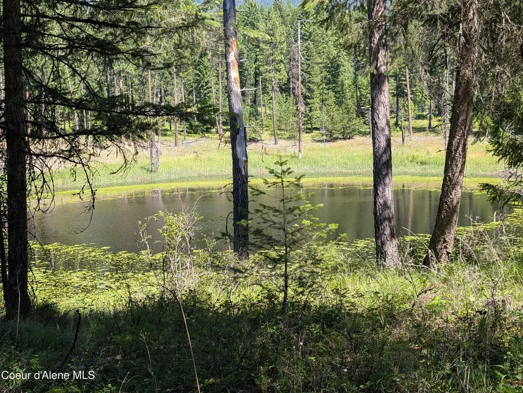 53396 Highway 95 Bonners Ferry ID 83805