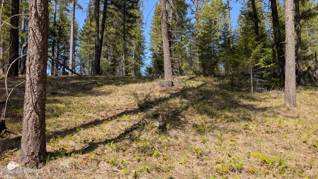 53396 Highway 95 Bonners Ferry ID 83805