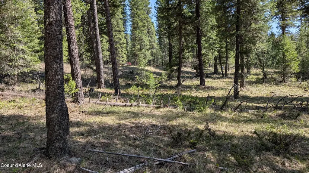 53396 Highway 95 Bonners Ferry ID 83805
