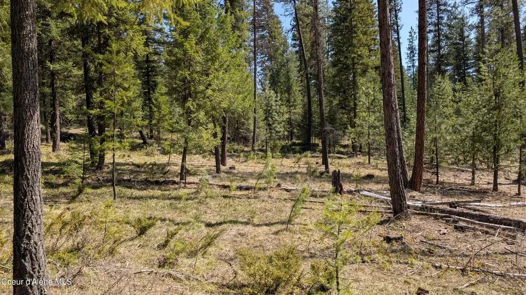 53396 Highway 95 Bonners Ferry ID 83805