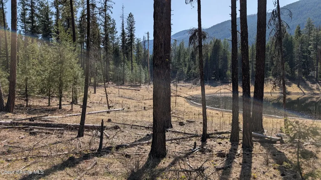 53396 Highway 95 Bonners Ferry ID 83805
