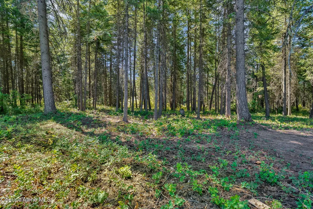17341 Armel Road Hayden ID 83835