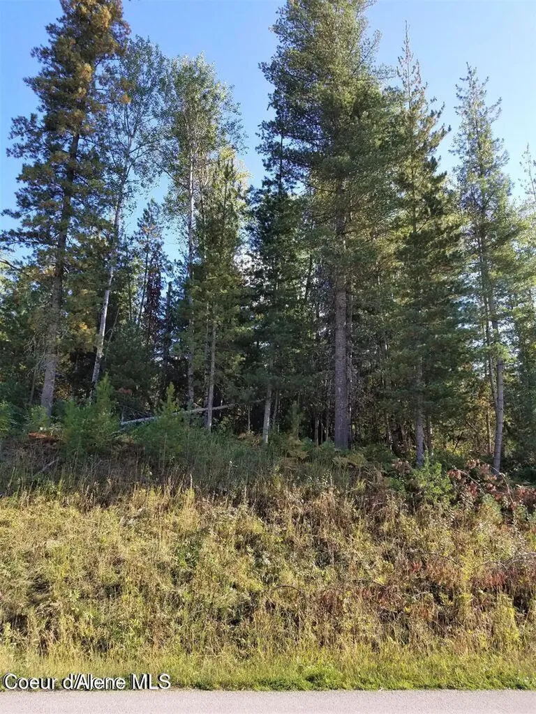 111 Trail Blazer Court Pinehurst ID 83850