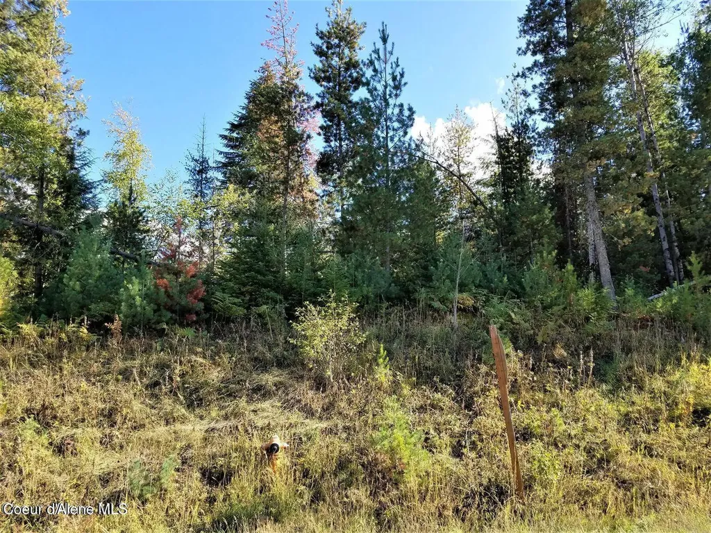 111 Trail Blazer Court Pinehurst ID 83850