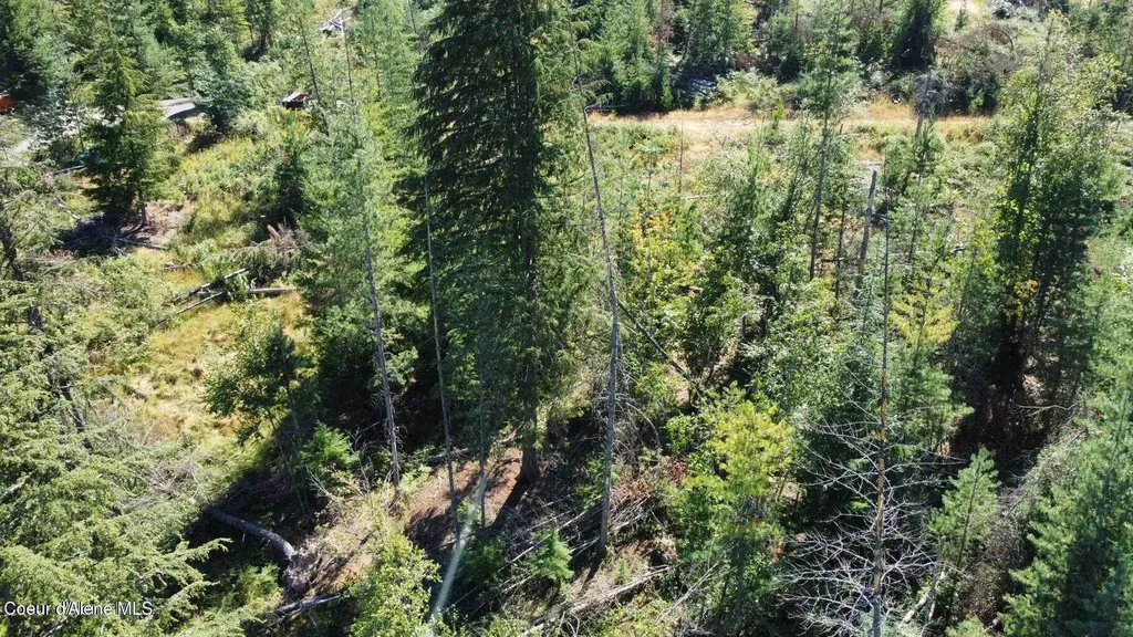 111 Trail Blazer Court Pinehurst ID 83850