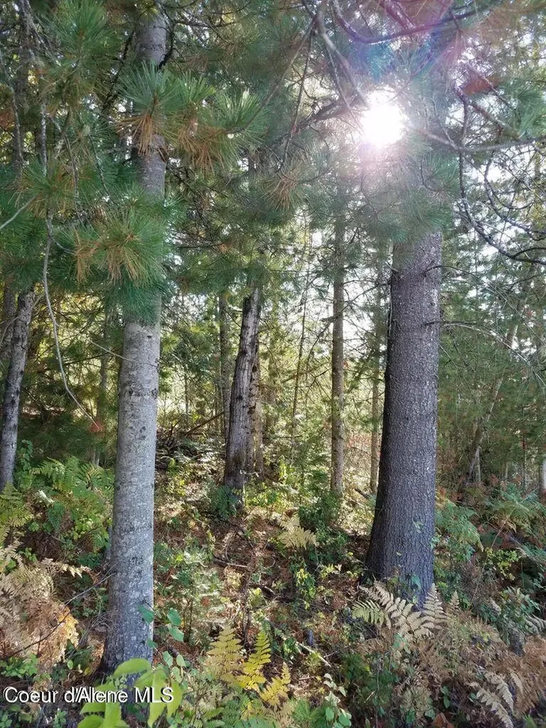 111 Trail Blazer Court Pinehurst ID 83850