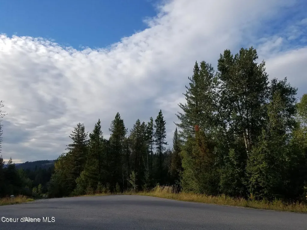 111 Trail Blazer Court Pinehurst ID 83850