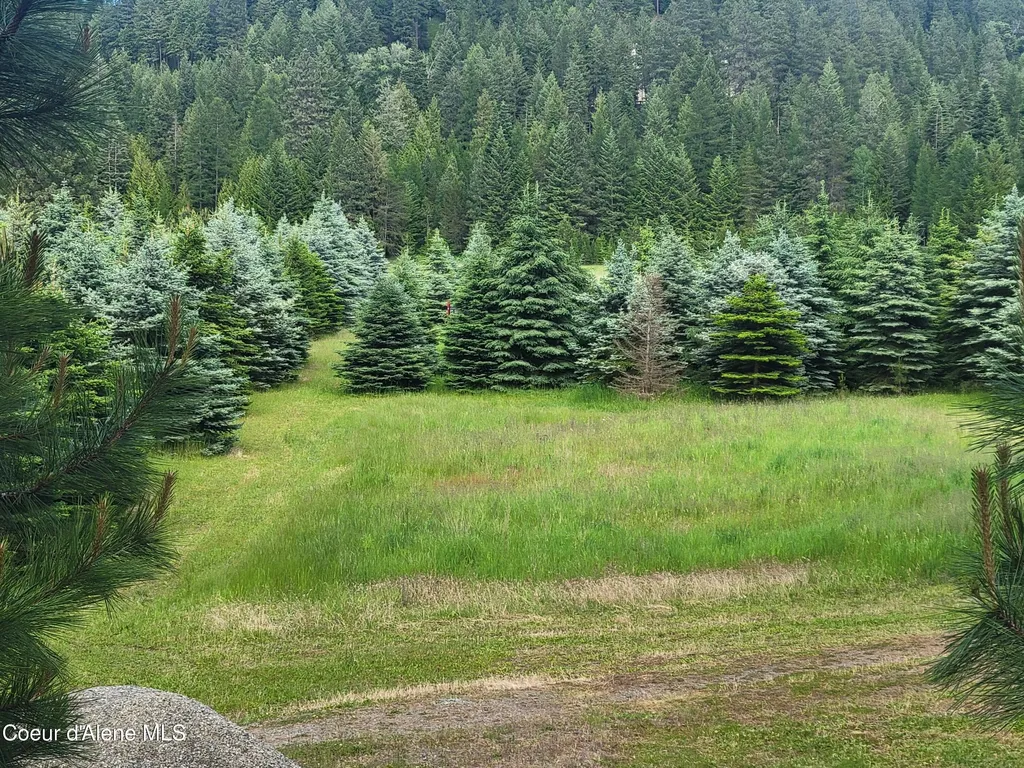 6337 Mccall Street Bonners Ferry ID 83805