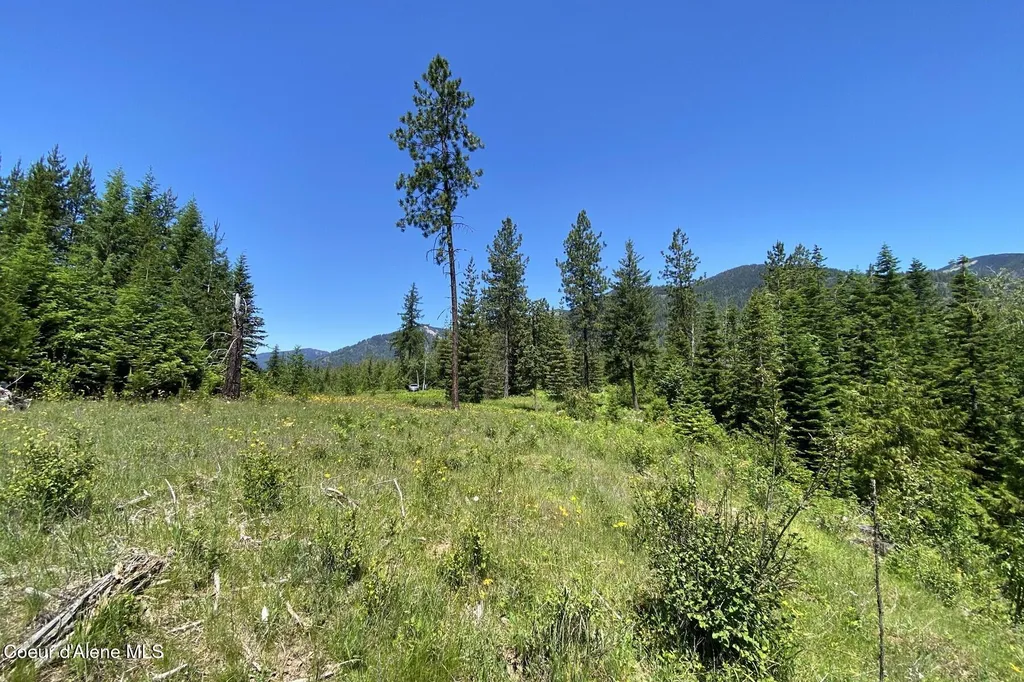 Nna 60 Acres Tahoe Drive Hope ID 83836