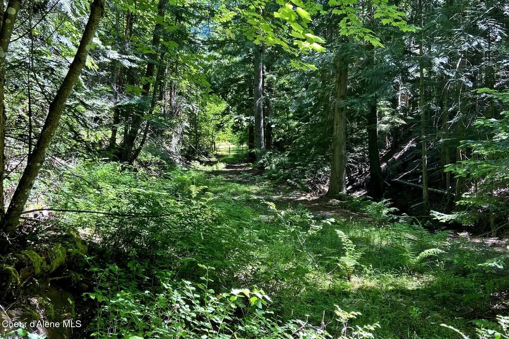 Nna 60 Acres Tahoe Drive Hope ID 83836