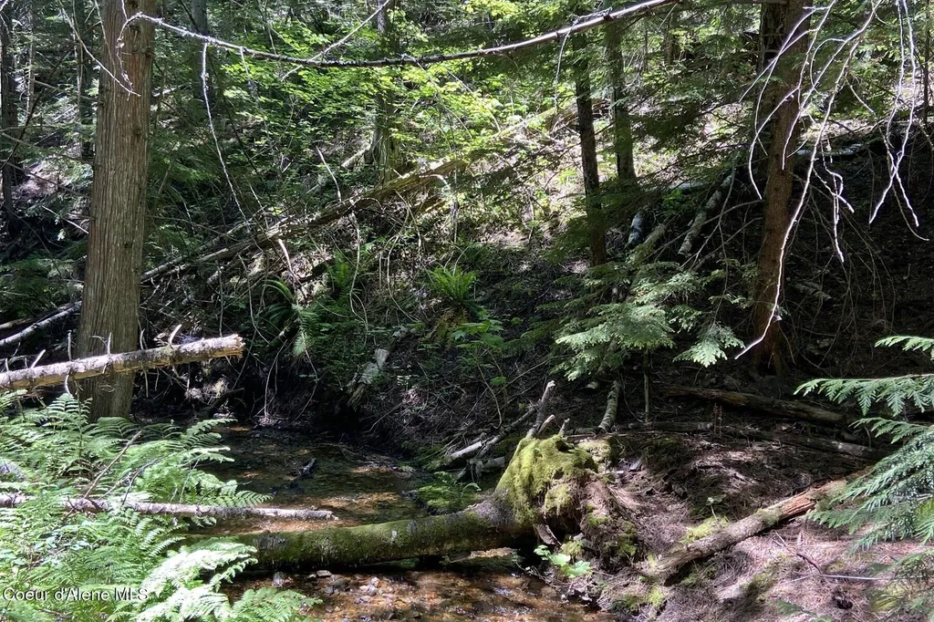 Nna 60 Acres Tahoe Drive Hope ID 83836